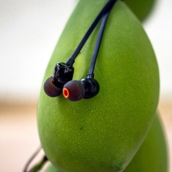 JBL Tune 110 Wired