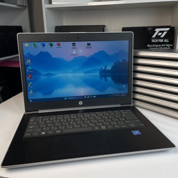 HP ProBook MT21