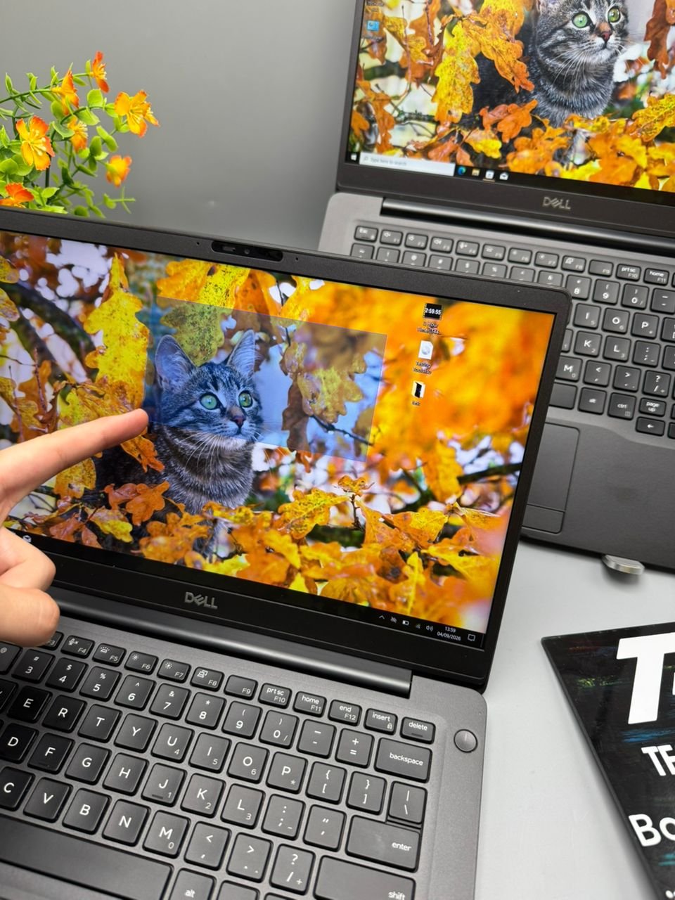 Dell Latitude 7300 - الصورة 2